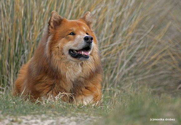 ...Geburtstagsbär...