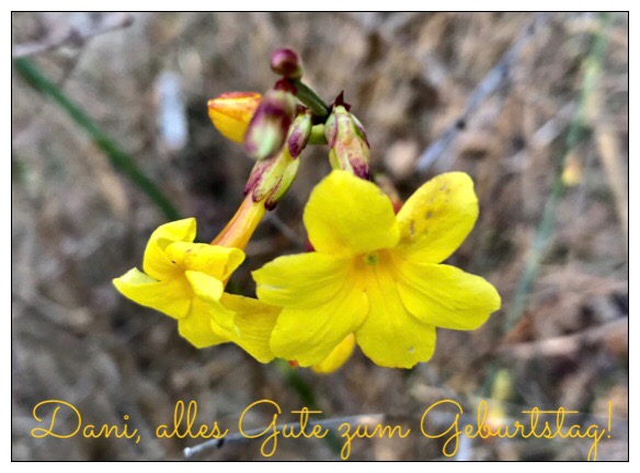 Geburtstagsblümchen für Dani