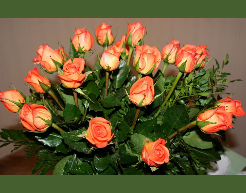 Geburtstagsblumen Foto & Bild | pflanzen, pilze & flechten, blüten