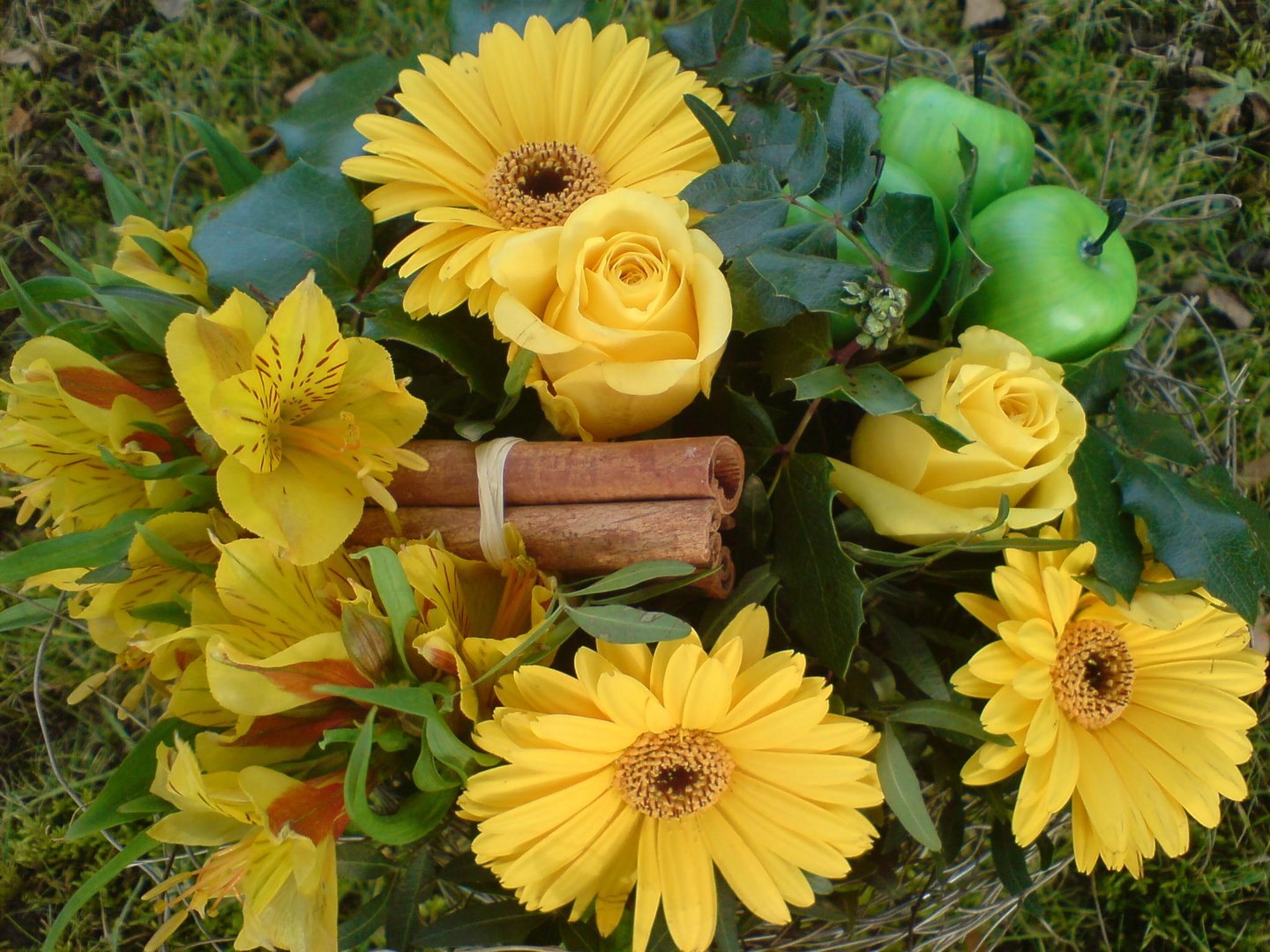 Geburtstagsblumen :-) Foto & Bild | pflanzen, pilze & flechten, blüten