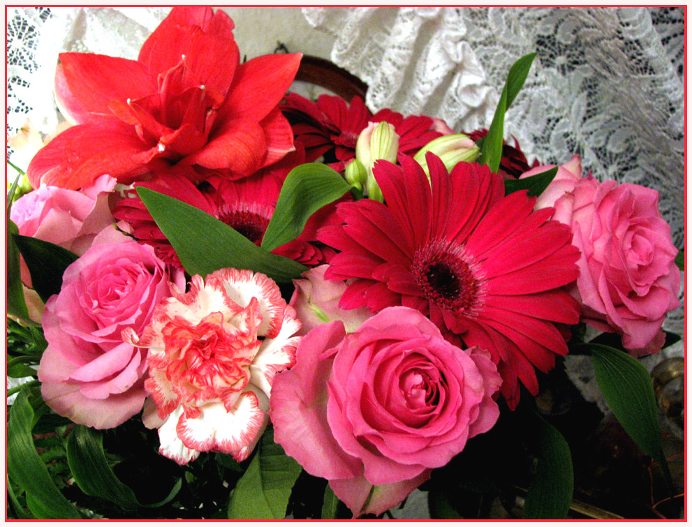 Geburtstagsblumen für mich Foto & Bild | pflanzen, pilze & flechten