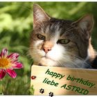 Geburtstagsgrüße für Astrid...