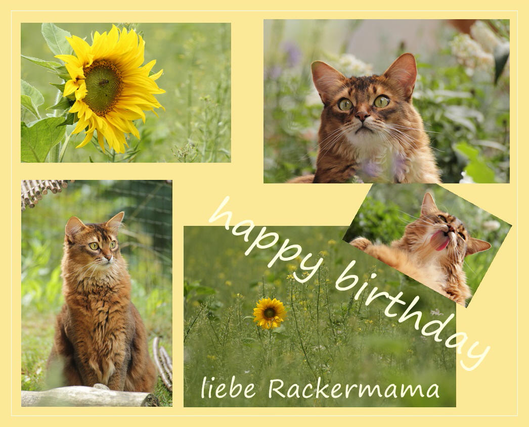 Geburtstagsgrüße für Gisela Foto & Bild gratulation und feiertage, geburtstag, karten Bilder