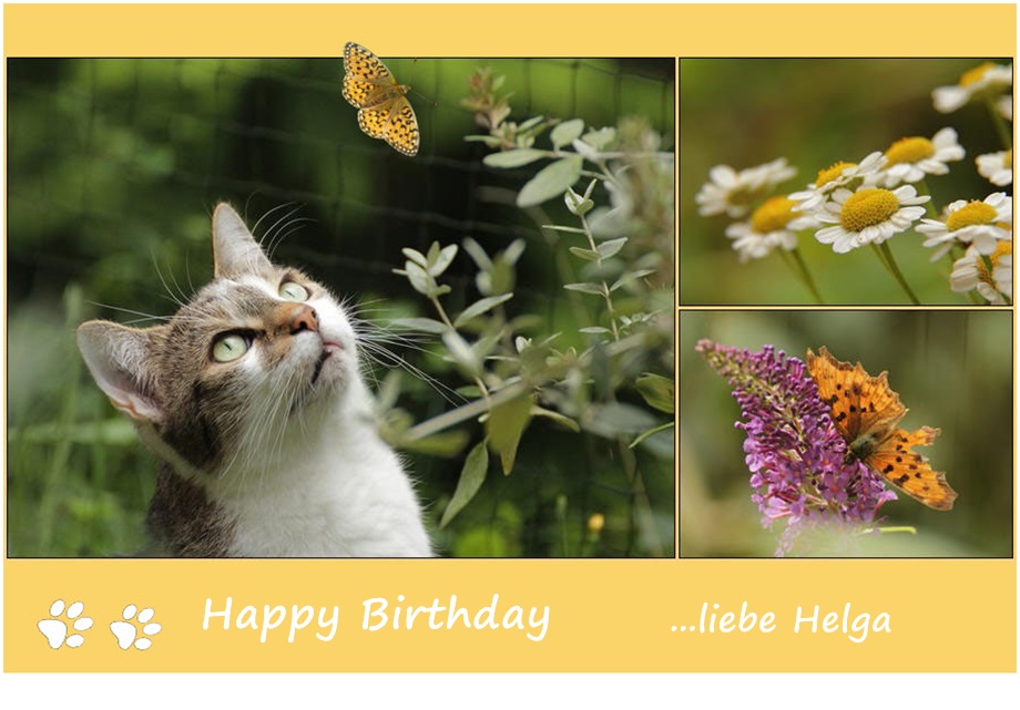 Geburtstagsgrüße für Helga Foto & Bild gratulation und feiertage, geburtstag, karten Bilder