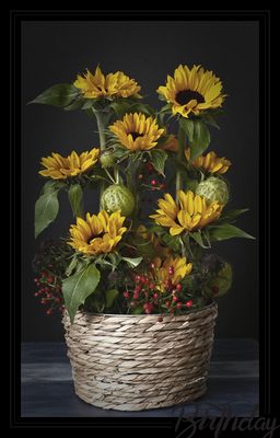 Geburtstagsgrüße in den Himmel