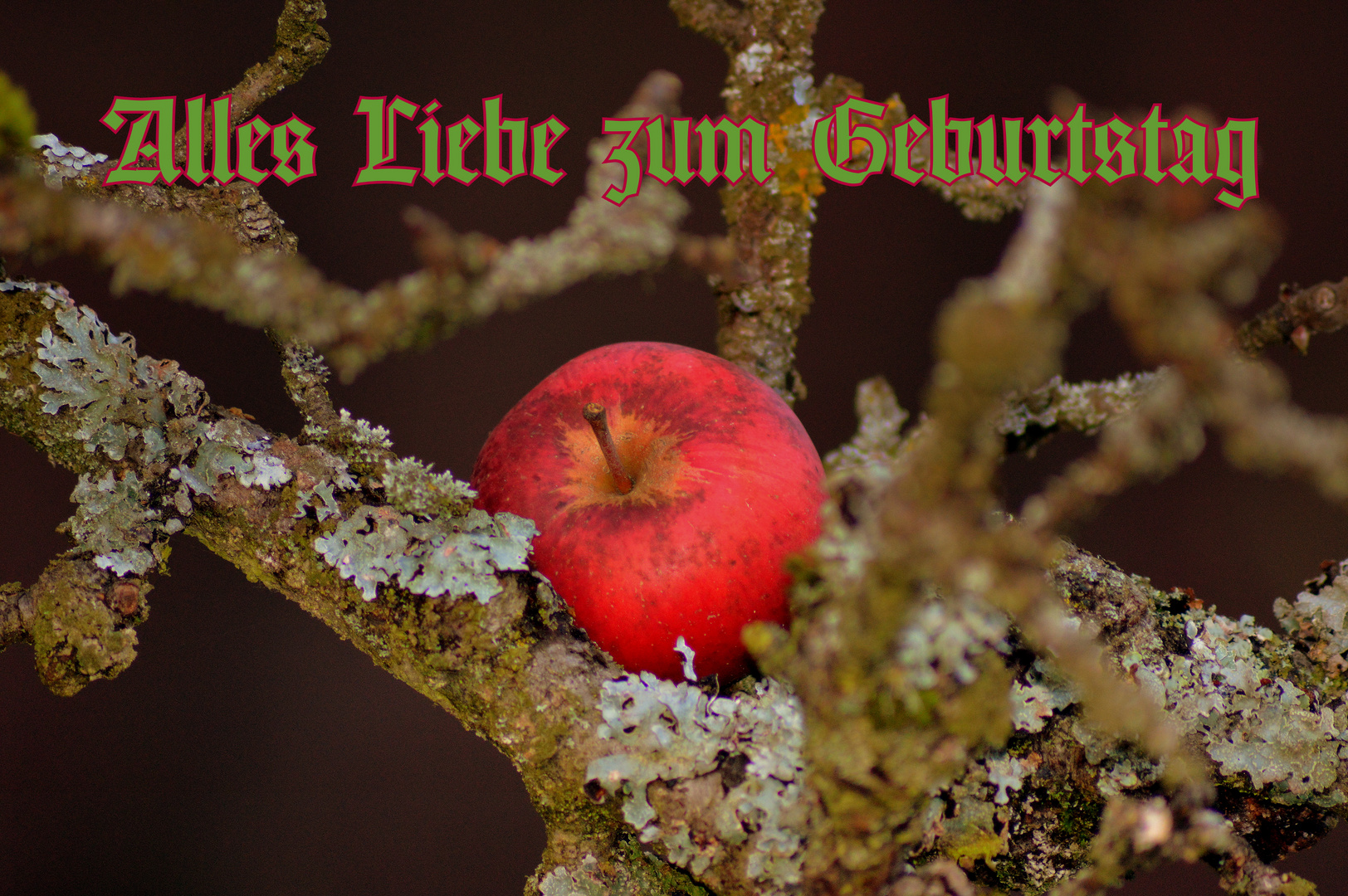 Geburtstagskarte Apfel Foto & Bild pflanzen, natur Bilder auf