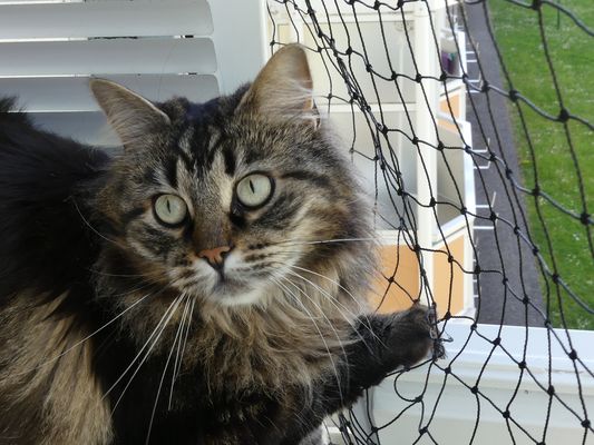 Geburtstagskind Luna