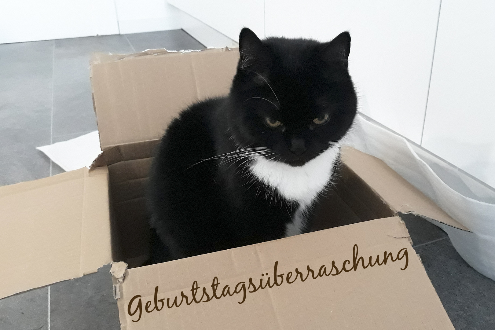 Geburtstagsüberraschung