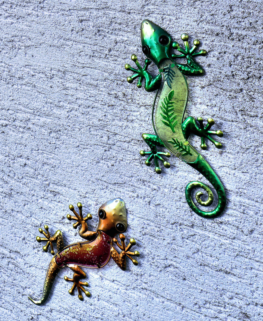 Geckos als Dekos