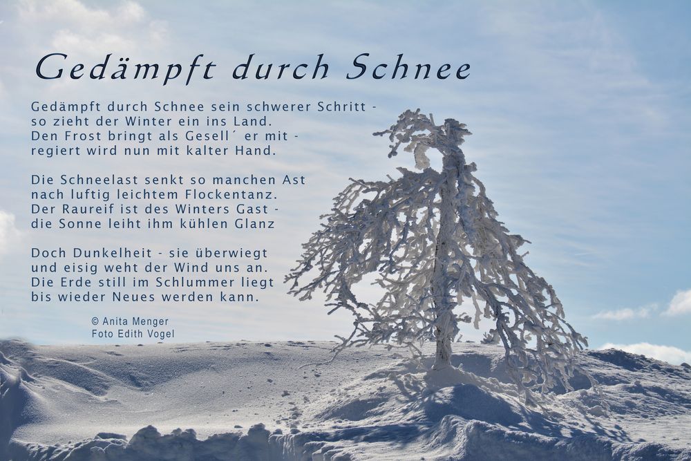 Gedämpft durch Schnee