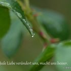 Gedanken-1