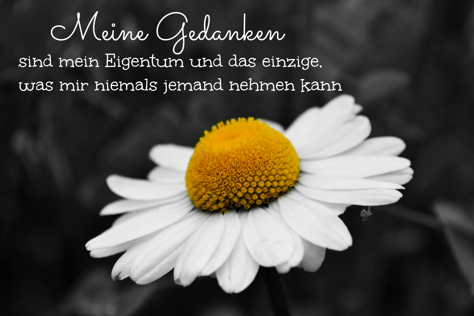 Gedanken