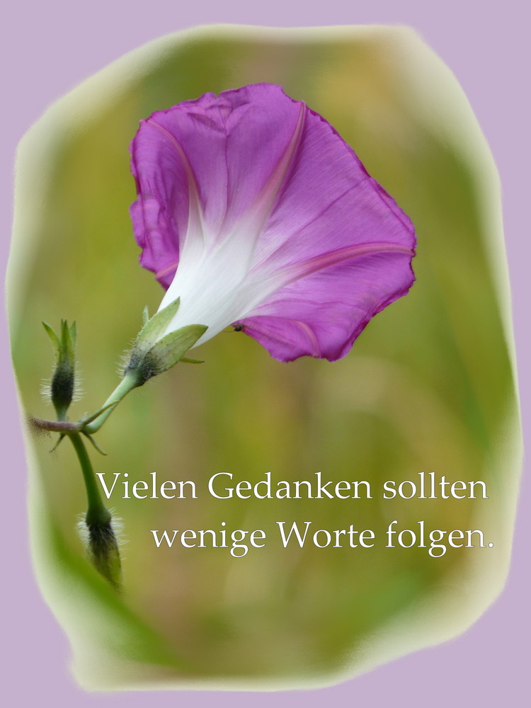 Gedanken