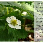 Gedanken...