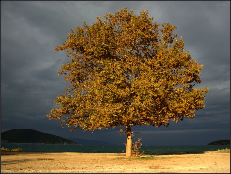 Gedanken an einen vergangenen Sommer