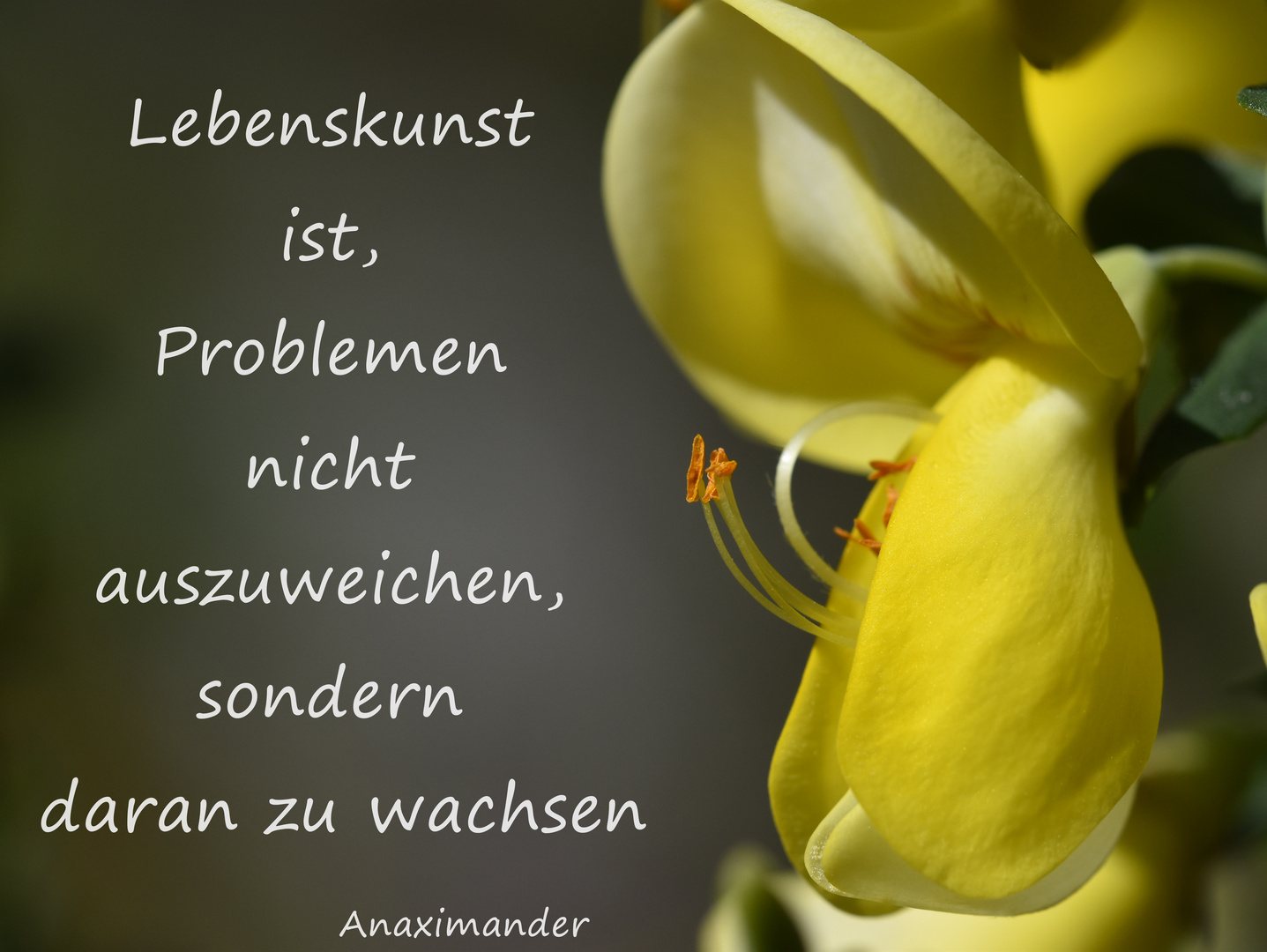 Gedanken