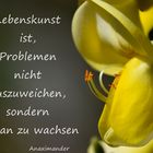 Gedanken