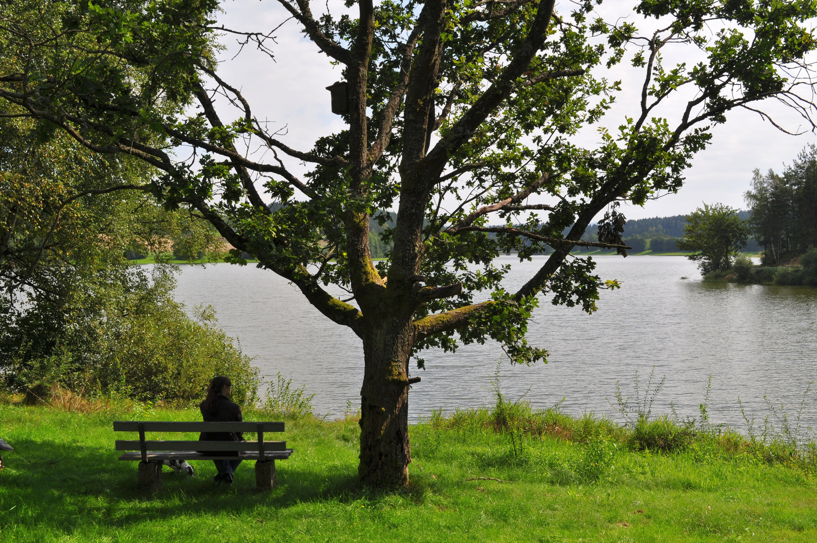 Gedanken freien lauf