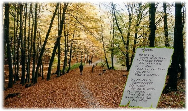 Gedanken im Herbst