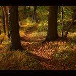 ...gedanken-verloren.. durch den Herbstwald schlendernd... (s. ausführliche KOMPOSITIONS- ANALYSE !)