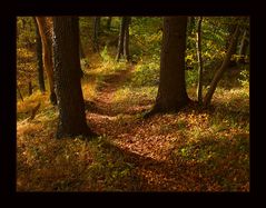 ...gedanken-verloren.. durch den Herbstwald schlendernd... (s. ausführliche KOMPOSITIONS- ANALYSE !)