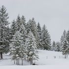 Gedanken zu einem Winterspaziergang - I