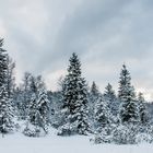 Gedanken zu einem Winterspaziergang - II