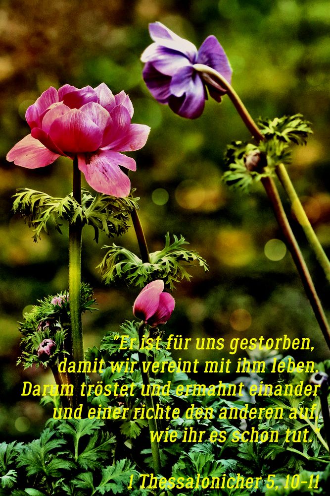 Gedanken zu Ostern II