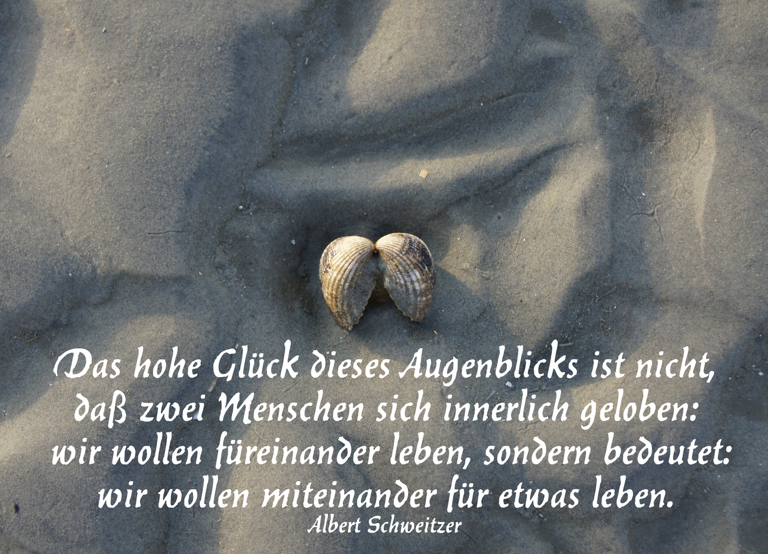 Gedanken zur Hochzeit von Albert Schweitzer Foto & Bild gratulation