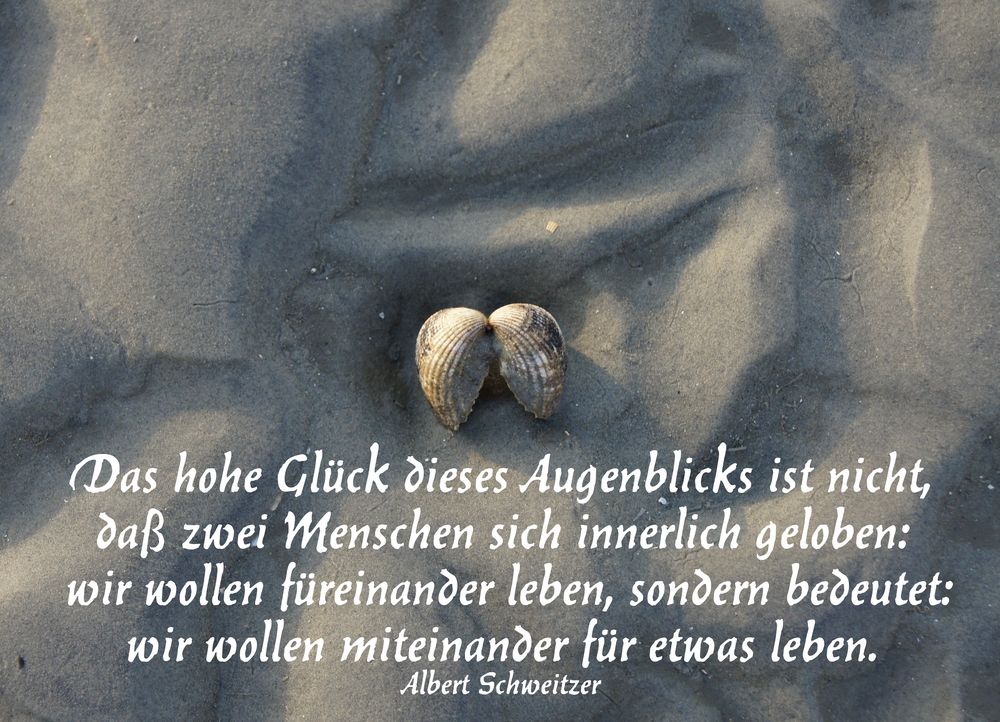 Gedanken zur Hochzeit von Albert Schweitzer Foto & Bild gratulation