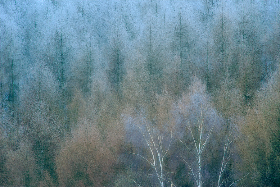 Gedeckte Töne des Winters ...