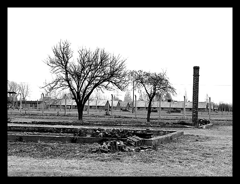 Gedenken an die Shoah 1/1 - Auschwitz II (Birkenau)