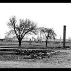 Gedenken an die Shoah 1/1 - Auschwitz II (Birkenau)