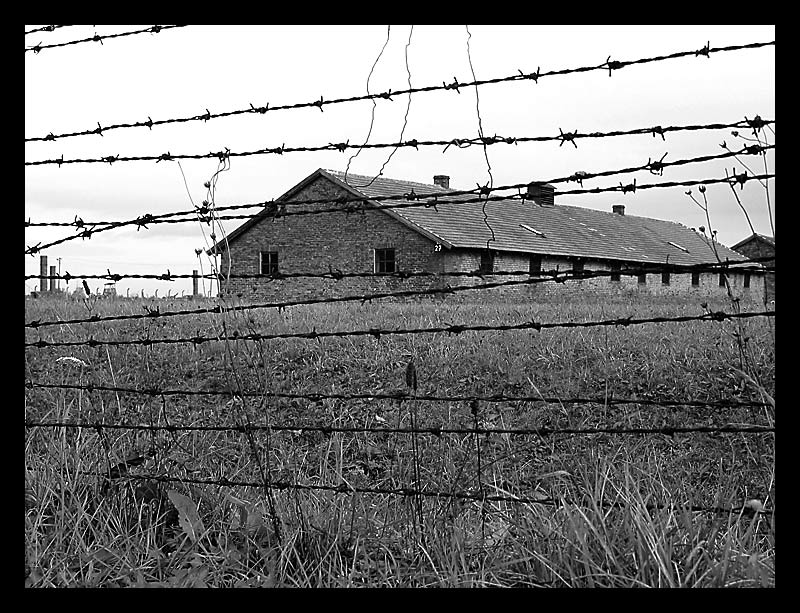 Gedenken an die Shoah 1/2 - Auschwitz II (Birkenau)