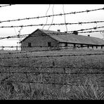 Gedenken an die Shoah 1/2 - Auschwitz II (Birkenau)