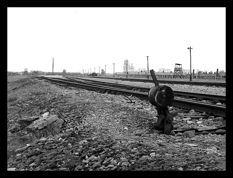 Gedenken an die Shoah 1/3 - Auschwitz II (Birkenau)