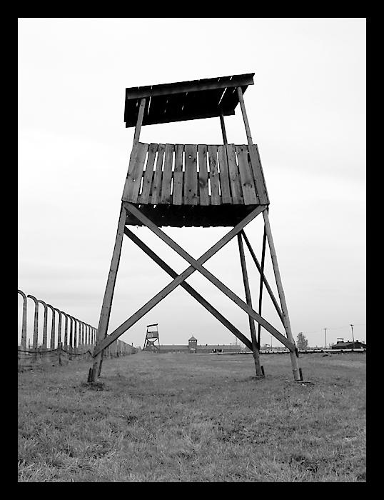 Gedenken an die Shoah 1/4 - Auschwitz II (Birkenau)
