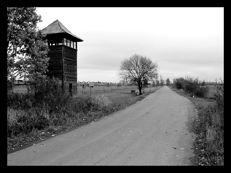 Gedenken an die Shoah 1/5 - Auschwitz II (Birkenau)