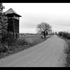 Gedenken an die Shoah 1/5 - Auschwitz II (Birkenau)