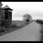 Gedenken an die Shoah 1/5 - Auschwitz II (Birkenau)