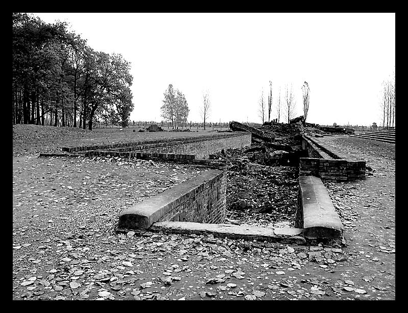 Gedenken an die Shoah 4/4 - Auschwitz II (Birkenau)