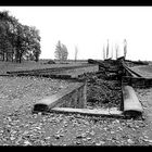 Gedenken an die Shoah 4/4 - Auschwitz II (Birkenau)