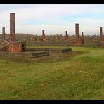 Gedenken an die Shoah 6/1 - Auschwitz II (Birkenau)