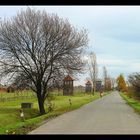 Gedenken an die Shoah 6/3 - Auschwitz II (Birkenau)