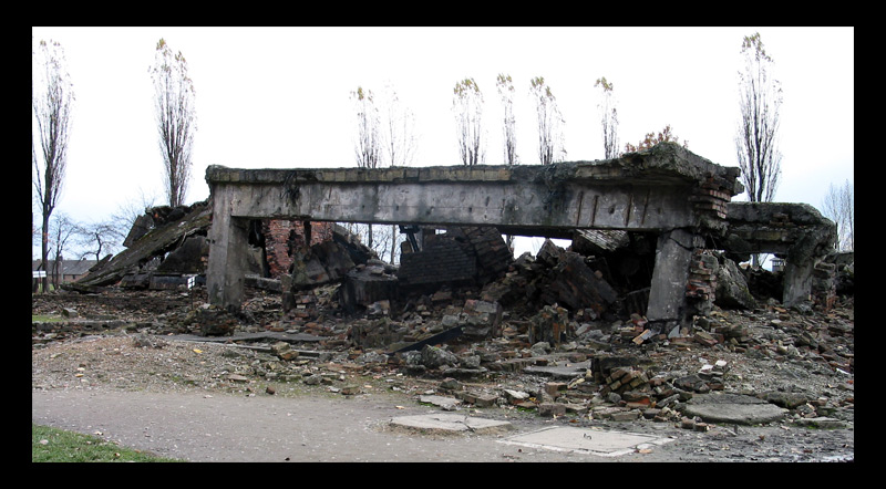 Gedenken an die Shoah 6/4 - Auschwitz II (Birkenau)