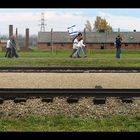 Gedenken  an die Shoah 6/5 - Auschwitz II (Birkenau)