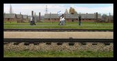 Gedenken  an die Shoah 6/5 - Auschwitz II (Birkenau) von Ansgar Piel