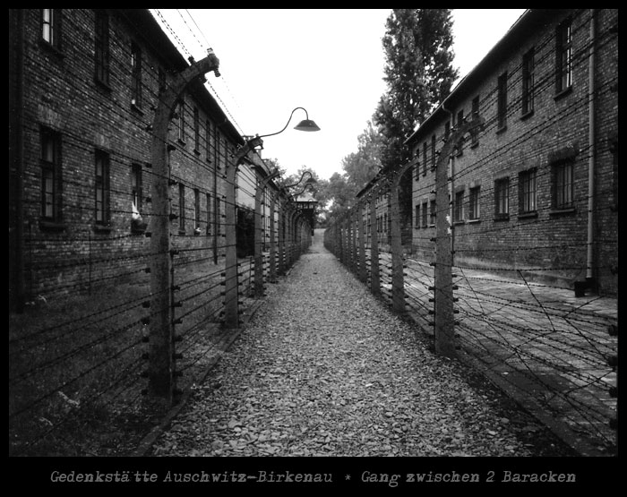 Gedenkstätte Auschwitz-Birkenau * Gang zwischen 2 Baracken