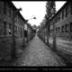 Gedenksttte Auschwitz-Birkenau * Gang zwischen 2 Baracken