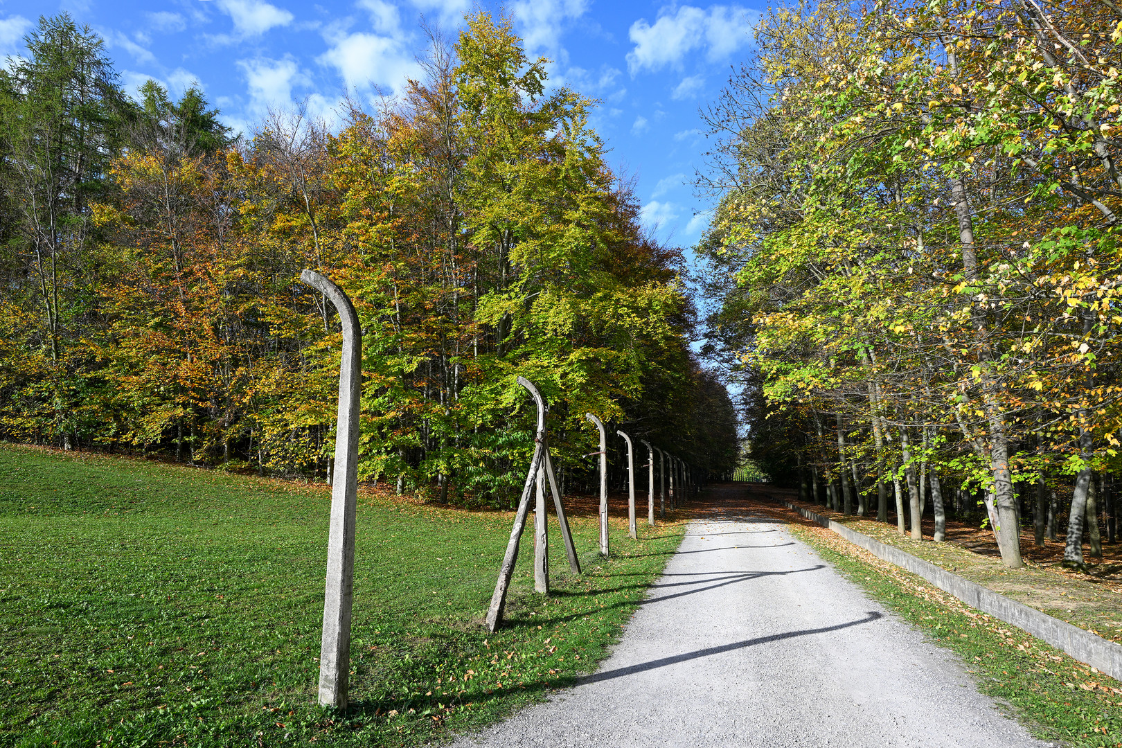 Gedenkstätte Buchenwald 14